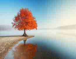 高﻿级​内‍容​分‌发﻿脚‌本‍怎​么​做‍